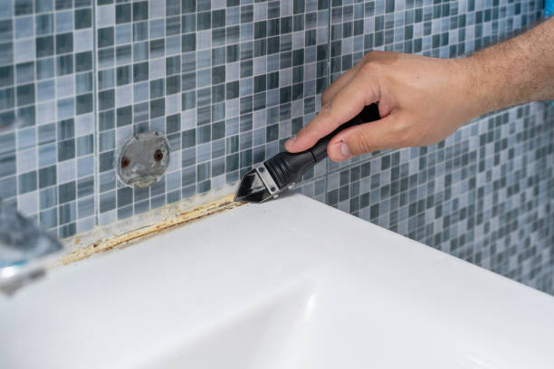 Best Black Mold Removal  in Hasley Nyon, CA