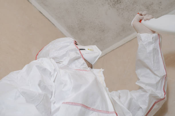 Best Crawl Space Mold Removal  in Hasley Nyon, CA